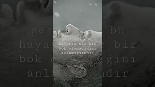 hayatın anlamsızlığı