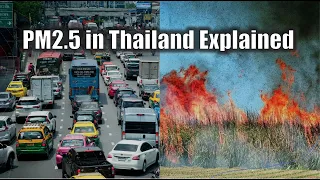 PM2.5 in Thailand Explained | The role of pre-harvest sugarcane burning in air pollution