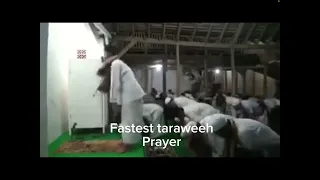 Fastest taraweeh ever