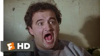 Toga! Toga! - Animal House (6/10) Movie CLIP (1978) HD