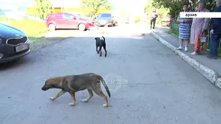 Многострадальный подъём в районе Северо-Запада и маршрутная сеть