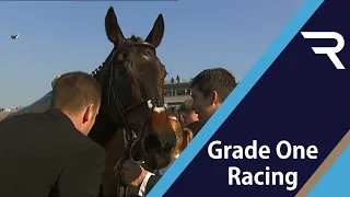 A superb front-running display from NEWMILL lands the 2006 Queen Mother Champion Chase - Racing TV