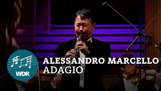 Alessandro Marcello - Concerto for Oboe and Strings: Adagio | T. Yoshida | WDR Funkhausorchester