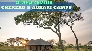 Огляд кемпів Cherero Aurari camps, національний парк Серенгеті, Танзанія