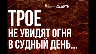 Трое, которых Аллах укроет в своей тени в Судный день