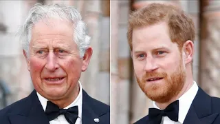 What You Don't Know About Charles And Harry's Relationship