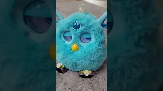 Dueto Furby Connect e Furby 2005 🎶