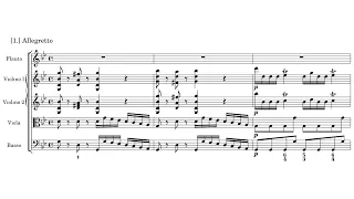 J.J Quantz - Flute Concerto in g minor, QV 5:206