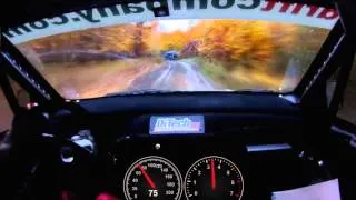 206 km/h в лесу