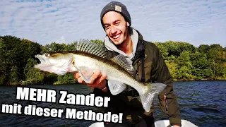 Das ist Sie! Die BESTE Angelmethode zum Zander Angeln