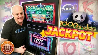 🐼JACKPOT PANDEMONIUM! 🐼100 Pandas BIG WIN$ at $50 Bets 💥| The Big Jackpot