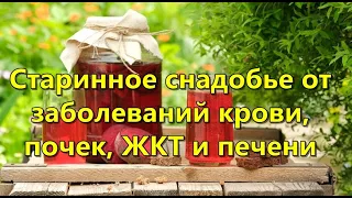 Старинное снадобье от заболеваний крови, почек, ЖКТ и печени