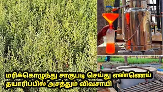 தவனம் விவசாயம் செய்து எண்ணெய் தயாரிப்பில் அதிக லாபம்  | davanam cultivation in tamil | marikolunthu