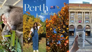 PERTH TRAVEL VLOG 🇦🇺 🦘 7 days in Perth Australia, things to do, popular attractions 🐨✈️