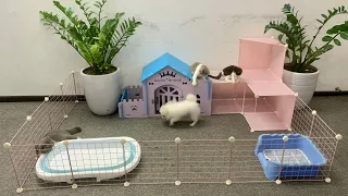 How To Make Prefab House for Pomeranian Poodle puppies & New kitten - Building House Fun Dog Video 2
