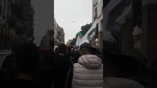 حراك 111ب سكيكدة ...04/02/2021