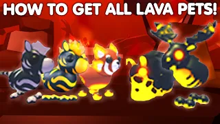 🔥HOW TO GET ALL 5 LAVA PETS IN ADOPT ME...👀🔥EXPLAINED ZEBRA BAITS! (MUST WATCH) ROBLOX