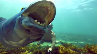 DIVER Finds Treasure MORE Valuable Then GOLD!! Metal Detecting UNDERWATER with Mearth