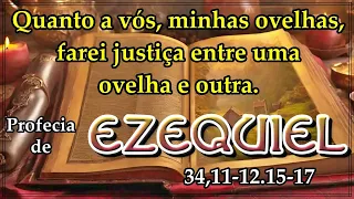 PROFECIA DE EZEQUIEL 34,11-12.15-17 (COM REFLEXÃO)