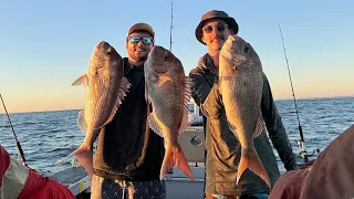 Camping on the Ocean | Hunting BIG Kingfish & Mulloway | Snapper on Dusk | Monster Sharks & More