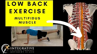 BEST Low Back Exercise for Side BACK PAIN: Strengthen your Multifidus