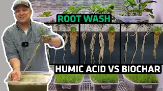 Humic Acid and Biochar Rooting Mass- Must See!!