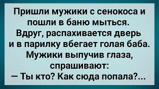 В Баню к Мужикам Пришла Незнакомая Девица! Сборник Свежих Анекдотов! Юмор!