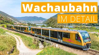 Mit dem Zug durch das Weltkulturerbe | Die Wachaubahn im Detail