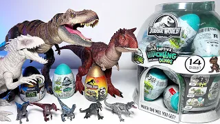 NEW 2023 Jurassic World Hatchlings Captivz Collection! Indominus Rex, T-Rex, Carnotaurus, Raptors