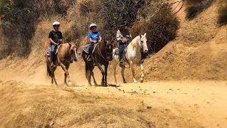 Griffith Park HorseBack Riding