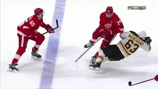 Detroit Red Wings Hits and Fights (2018-2019)