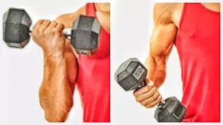 how to do Biceps workout at home  HD