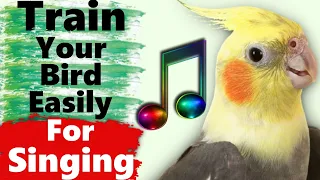 Cockatiel Singing  and Whistle Training Songs