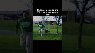 Самое милое видео в мире