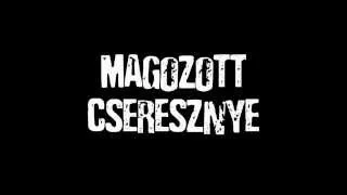 ÚJ! MAGOZOTT CSERESZNYE - ÁTMENET 2015 TELJES ALBUM