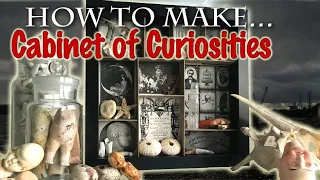 How to make a CABINET of CURIOSITIES with Mudlarking Treasures