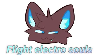 Flight Electro Souls - animation meme