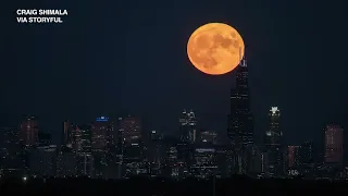 Sturgeon Moon 2022: Timelapse video shows August supermoon behind Chicago skyline