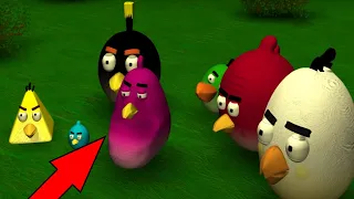 angry birds jumpscare