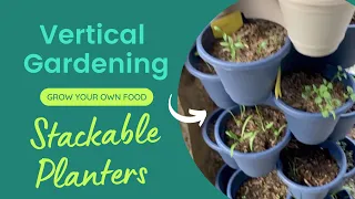 Dollar Tree Stackable Planters Update | Vertical Garden | Grow Your Own Food