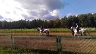 Парад ,открытие соревнований .Костромской ипподром