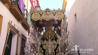 Rocío en la calle Santiago | SEMANA SANTA SEVILLA 2019