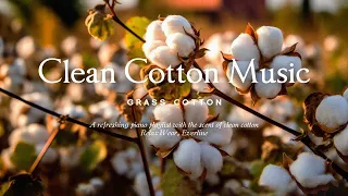 A refreshing piano playlist with the scent of clean cotton l GRASS COTTON+