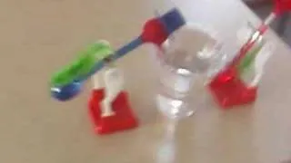 Drinking birds