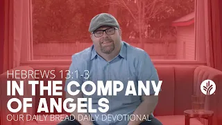 In the Company of Angels - Daily Devotion