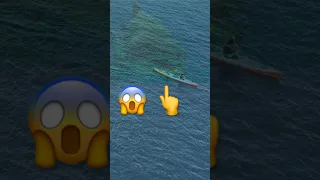 Megalodon Shark Attack #meg2 Simulation