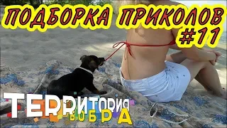 ЛУЧШИЕ ПРИКОЛЫ ЗА НЕДЕЛЮ ПРИКОЛЫ 2018 НОЯБРЬ ЛУЧШИЕ СМЕШНЫЕ ПРИКОЛЫ ПОДБОРКА #11