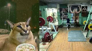 Твой♂️GYM♂️это: