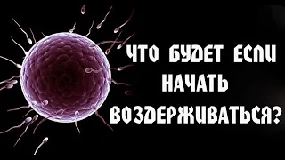 ЧТО БУДЕТ ЕСЛИ НАЧАТЬ ВОЗДЕРЖИВАТЬСЯ? ПОЛОВОЕ ВОЗДЕРЖАНИЕ!