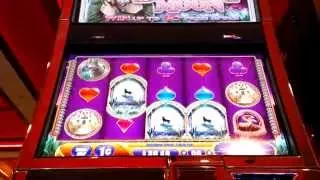 Desert Moon Slot Machine Bonus Canine Mega Win